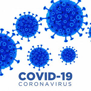 Информация о профилактике коронавирусной инфекции и гриппа